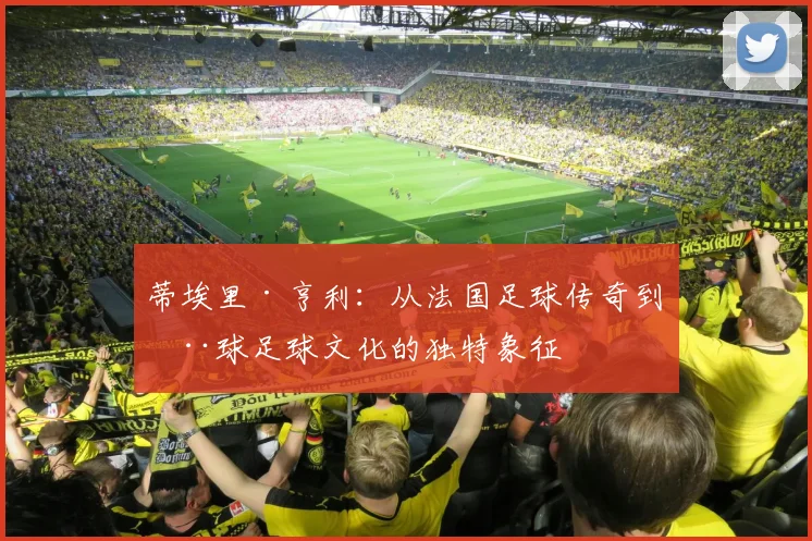 蒂埃里·亨利：从法国足球传奇到全球足球文化的独特象征