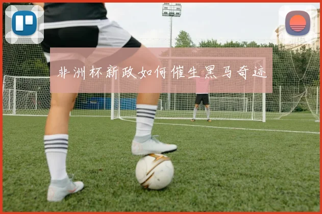 非洲杯新政如何催生黑马奇迹