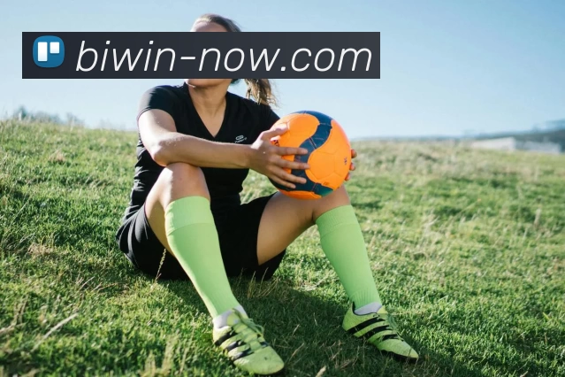 必赢官网平台生态图